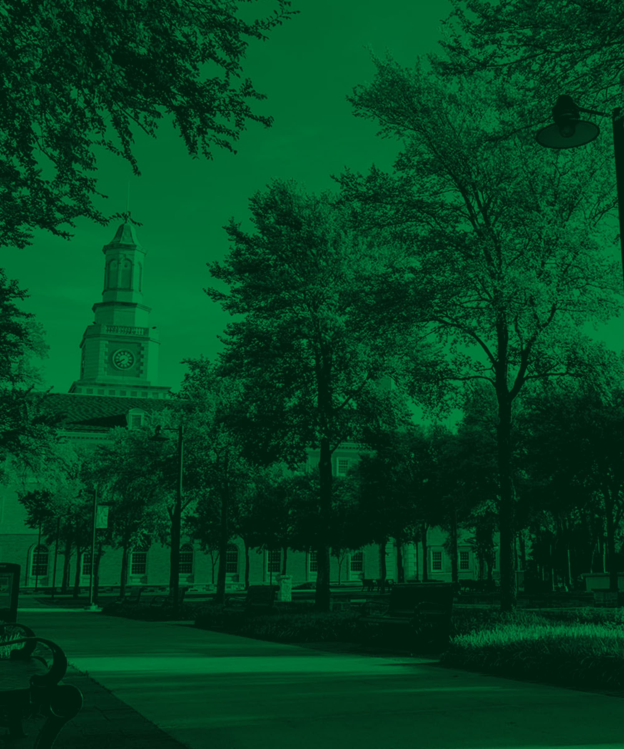 UNT campus hero