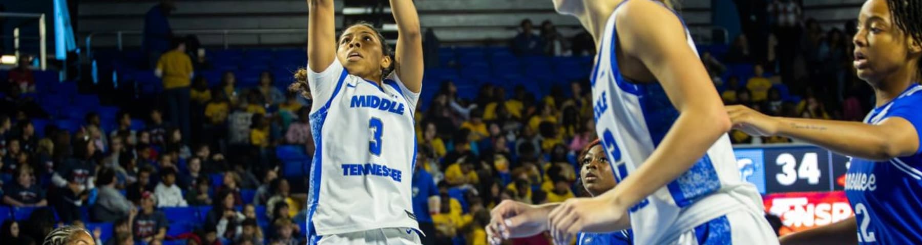 Alayna Contreras banner