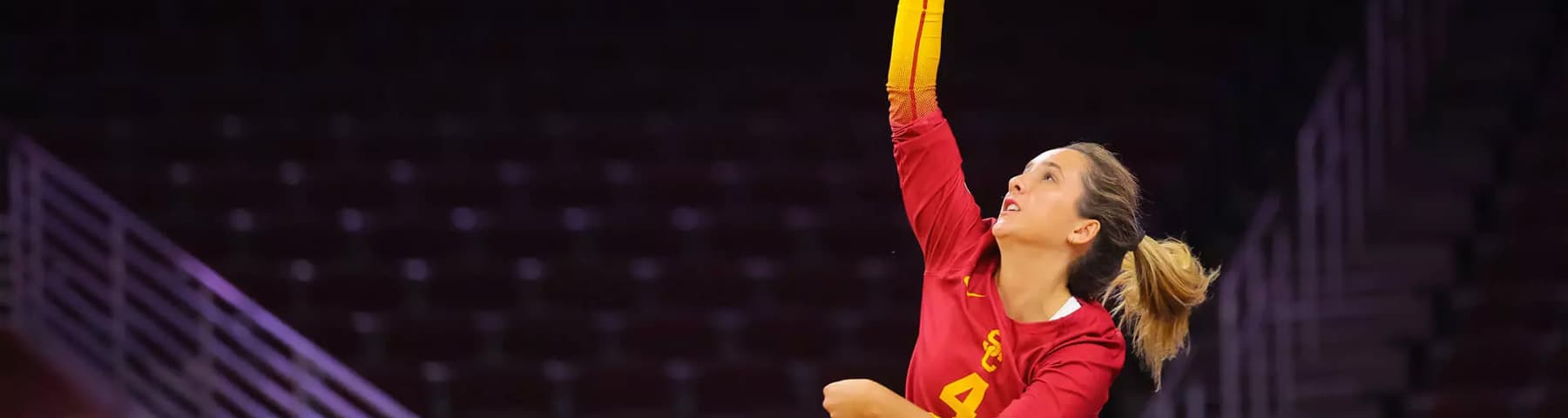 Megan Verbiest banner