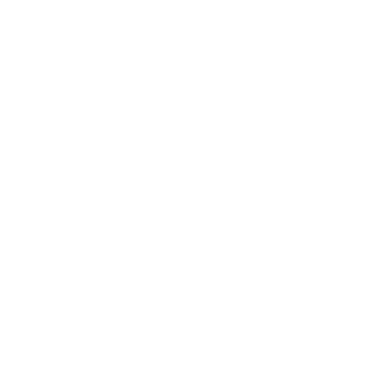 TENN athletic logo