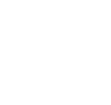 UNT athletic logo